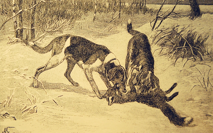 <p>Зимняя охота на лисицу по законодательству разрешена с сентября по март. В этот период охотники используют различные методы охоты: «с подхода», охота загоном, с манком и с флажками.</p>