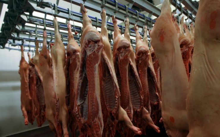 <p>Решение о возобновлении поставок американской свинины в Россию было приостановлено</p>