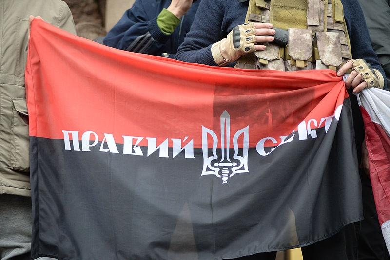 <p>За пределы России выдворили трех неонацистов из «Правого сектора». Ранее их задержали в Ростовской области и Калмыкии.</p>