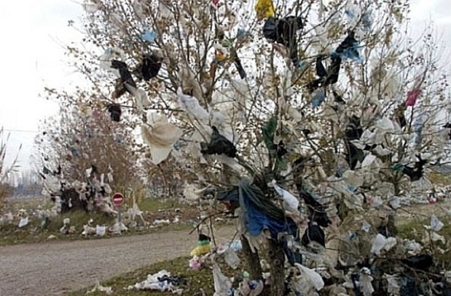 <p>Европарламент заявил о начале масштабной кампании по борьбе с пластиковым мусором в странах ЕС</p>