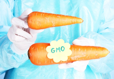 <p>Вермонт стал первым штатом в США, где производителей законодательно обязали ставить соответствующую маркировку на продукты, содержащие генетически модифицированные организмы.</p>