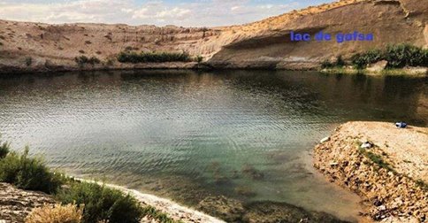 <p>Три недели назад в Тунисе местные жители обнаружили озеро, внезапно появившееся посреди пустыни в 25 километрах от города Гафса.</p>