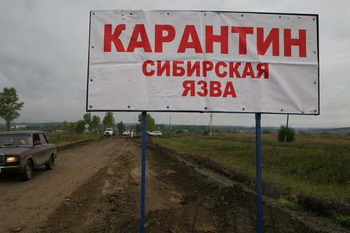 <p>В поселке Кукмор в 115 километрах от Казани объявлен карантин после того, как шесть местных жителей были госпитализированы с подозрением на заражение сибирской язвой.</p>
