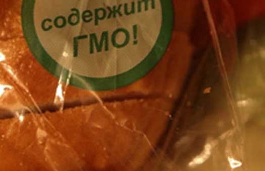 <p>Правительство России внесло в Госдуму проект закона, по которому ответственность за несоблюдение требований к маркировке продуктов с ГМО будет усилена.</p>