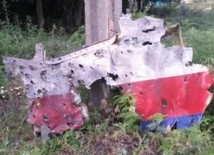 <p>Представитель Совета по безопасности Нидерландов Сара Ферной сообщила, что в телах членов пилотов рейса MH17, в середине июля потерпевшего крушение в Донецкой области Украины, обнаружили некоторые фрагменты.</p>