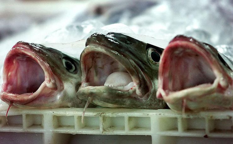 <p>Это связано с возрастающими рисками на фоне увеличения поставок рыбы из Норвегии и молочной продукции из Литвы и Польши в соседнюю страну</p>