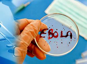 <p>Всемирная организация здравоохранения распространила новые данные об эпидемии лихорадки Эбола, согласно которым смертельно опасным вирусом инфицированы 10114 человек, а 4912 – скончались.  </p>