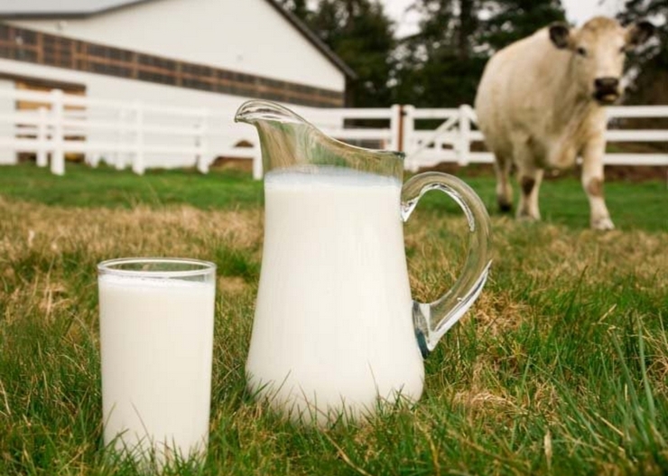 <p>Также белорусы готовы поставить в следующем году на 184 тыс. тонн молока больше, чем в уходящем</p>