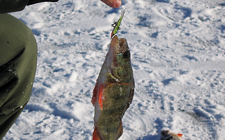 <p>Честно говоря, февраль – не лучшее время для рыбалки на Пироговском водохранилище.</p>