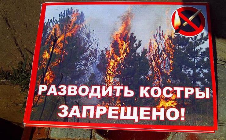 <p>На всей территории Приморского края местным жителям находиться в лесах, разводить открытый огонь и проводить огнеопасные работы – запрещено.</p>