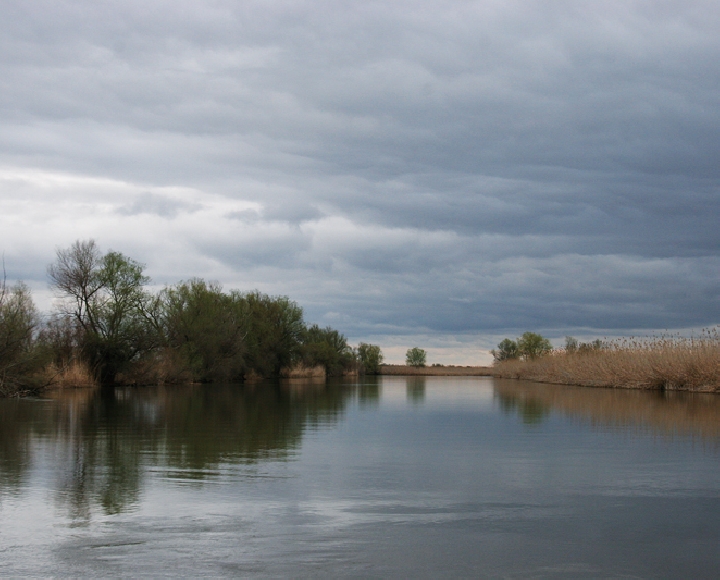 В реках юга России начинается активный клёв жереха.