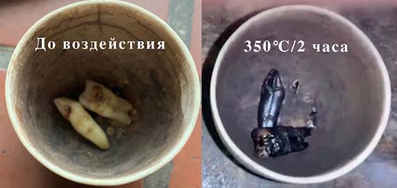 https://lh4.googleusercontent.com/coSHVKcewdx5mCPvoqOUS2kAmDjCJDFeNNamoe9LeqD9ZoSF1ZPb6b77gUzhi9eU5pkeNdi6tNmyrP_YDudkJHwUlw9omP-sVADeLuIUexElwhVKvjmg7h_kPE25hlkNJ25q7cXB=s800