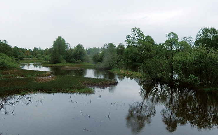 Яуза - река в Смоленской области