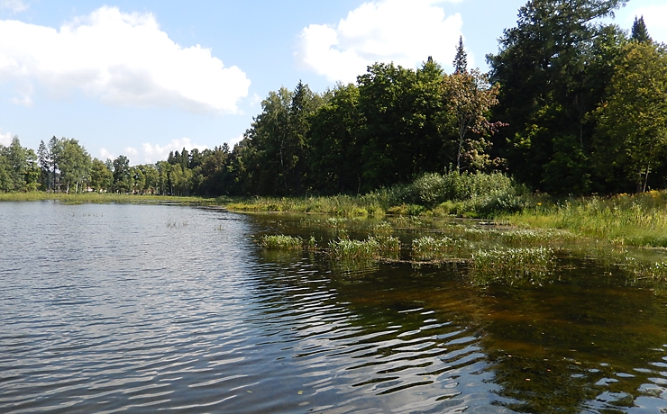 Унжа - река во Владимирской и Рязанской областях