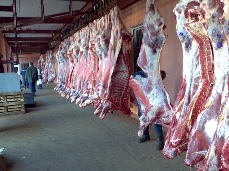 <p>На днях Федеральная служба по ветеринарному и фитосанитарному надзору России нашла в 20 тоннах привезенной из Австралии говядины синтетический стероид.</p>