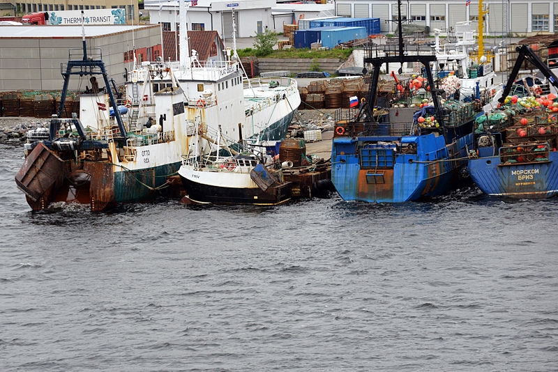 <p>Присоединение РФ к Конвенции о сохранении и управлении рыбными ресурсами в открытом море северной части Тихого океана одобрил Совет Федерации.</p>