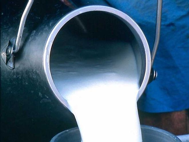 <p>Национальный союз производителей молока направил обращение в Евразийскую экономическую комиссию Таможенного союза с просьбой расследовать импорт сливочного масла, сухого молока, сыра и сырных продуктов, а также сухой молочной сыворотки из Украины и Европейского союза.</p>