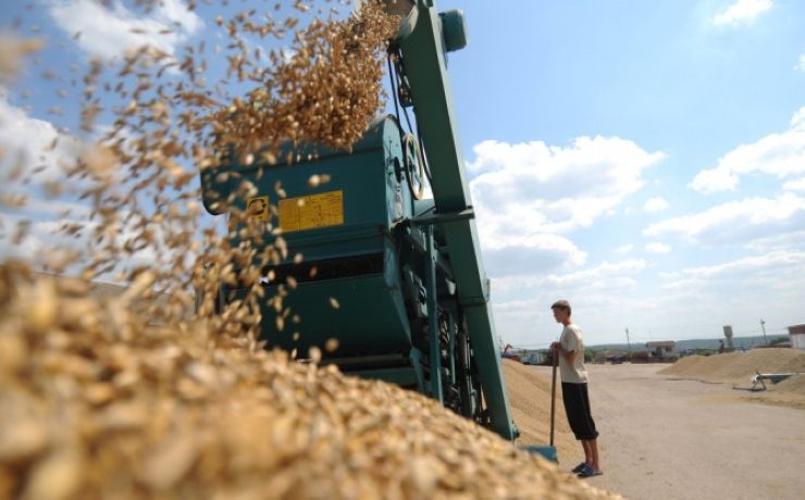 <p>В Саудовскую Аравию уже было отгружено 22,65 тысячи тонн зерна, а на Кипр – 4,6 тысячи тонн ячменя второго класса</p>