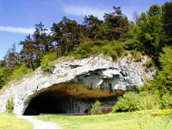 <p>Новые пещеры были обнаружены иркутскими спелеологами в устье реки Лена на территории Якутии. Эти карстовые пещеры стали самыми северными в России, и, возможно, в мире, сообщает «Интерфакс», ссылаясь на Российское географическое общество.</p>