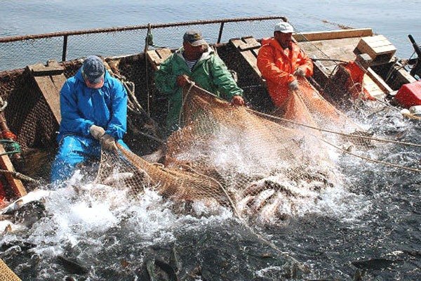 <p>Напряженность в отношениях Запада и России поставила под серьезный удар рыболовную отрасль Финляндии, которая поставляла на российский рынок почти треть своей продукции.</p>