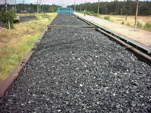 <p>На пограничном пункте Мамоново-Гроново около двухсот польских шахтеров заблокировали поезда с российским углем.</p>