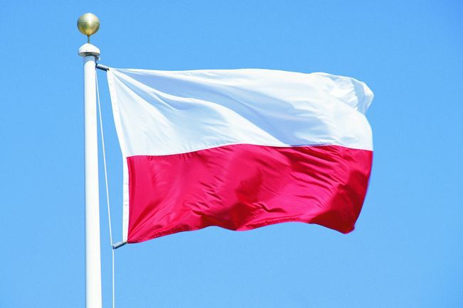 <p>Министерство иностранных дел Польши планирует эвакуировать с территории Донбасса жителей польского происхождения, сообщают «РИА Новости», ссылаясь на «Польское радио».</p>