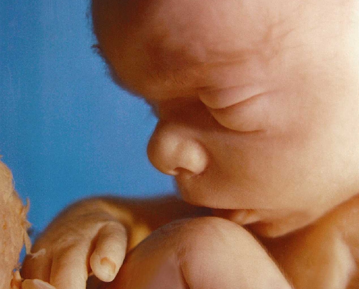 Новые поправки в законе о здравоохранении позволят врачам отказываться от проведения абортов.