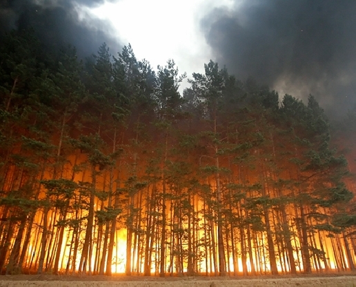 МЧС Томской области призывает молится о ниспослании дождя в связи со сложной обстановкой с лесными пожарами.