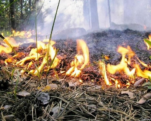 В Сибири горят леса. За выходные площадь пожаров увеличилась до 11 тыс. 474 га.