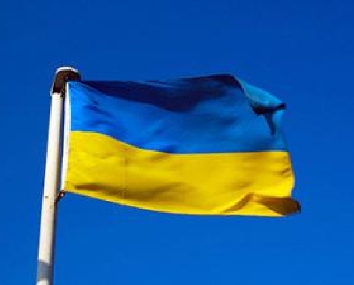 К некоторым положениям ТС Украина присоединиться готова
